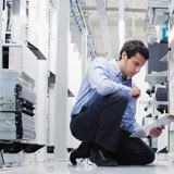 IT vacatures - Hays.nl