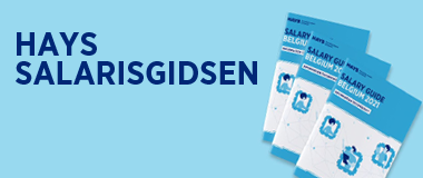 Hays Salarisgids - Hays.nl