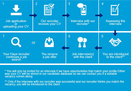 Job application process - Hays.nl