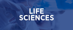 Life Sciences artikelen - Hays.nl